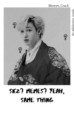 Memes? Skz? Yeah, Same Thing.. 