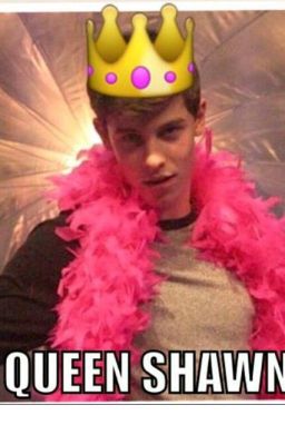 Memy Shawn Mendes 2