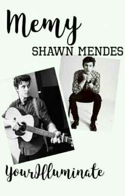 Memy Shawn Mendes 2