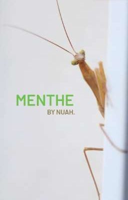 Menthe