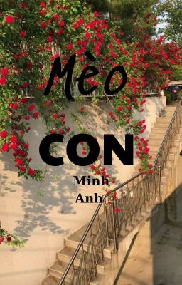 Mèo con của học trưởng