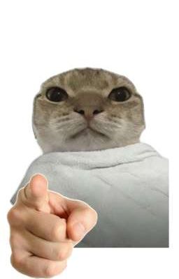 Mèo Đi Bốt