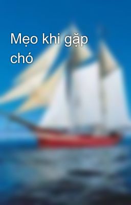 Mẹo khi gặp chó