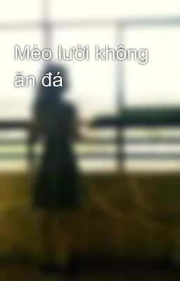 Mèo lười không ăn đá