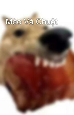 Mèo Và Chuột