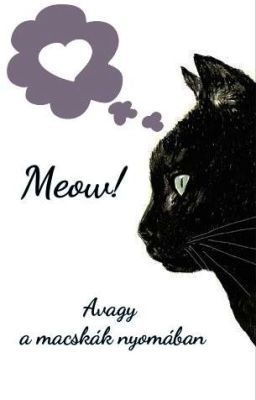 Meow! - Avagy a macskák nyomában