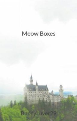 Meow Boxes