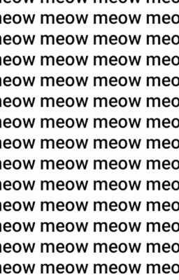 meow meow