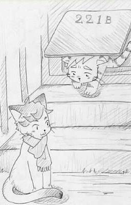 Meowlock Holmes  •[Johnlock]•