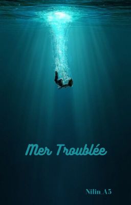 Mer Troublée