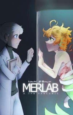 Merlab