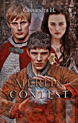 Merlin Contest 2020