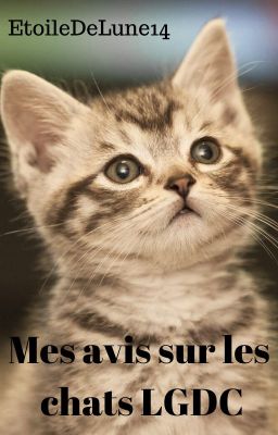 Mes avis sur les chats LGDC