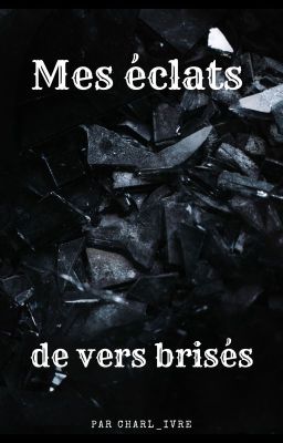 Mes éclats de vers brisés