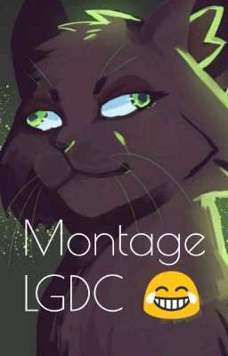 • Mes Montages LGDC •