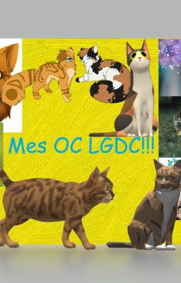 Mes OC LGDC