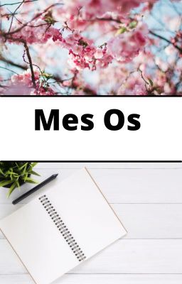 Mes os