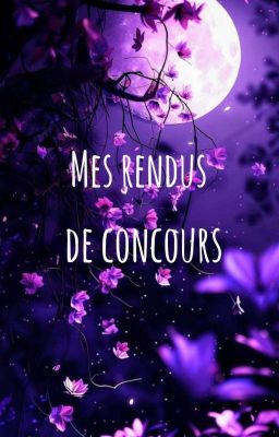 Mes rendus de concours 