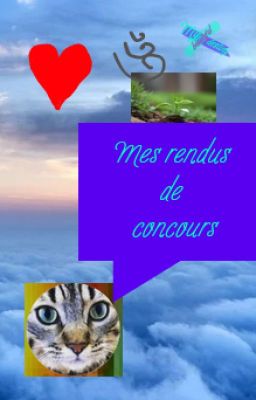 Mes rendus de concours