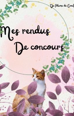 Mes rendus de concours 