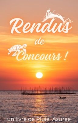 Mes Rendus de Concours !