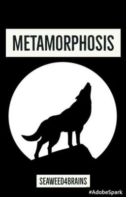 Metamorphosis