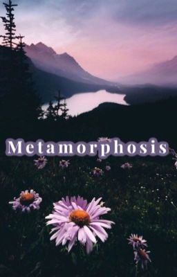 Metamorphosis