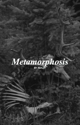 METAMORPHOSIS • DEREK HALE [COMPLETED]