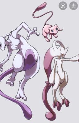 Mew and Mewtwo(DJMM15)