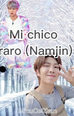 Mi chico raro  (NAMJIN) 