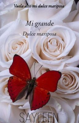 Mi grande y dulce mariposa 