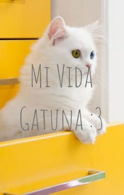 Mi Vida Gatuna :3