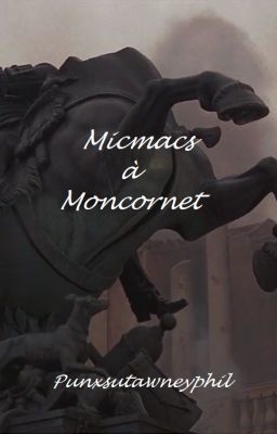 Micmacs à Moncornet