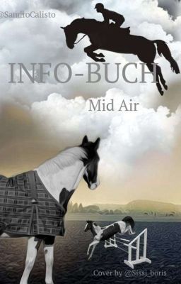 Mid Air- Infobuch