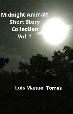 Midnight Animals Short Story Collection Vol. 1