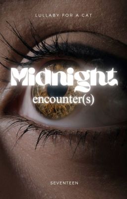 Midnight encounter(s) [one-shot]