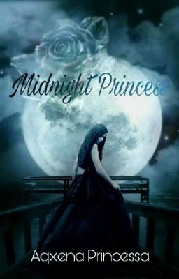 Midnight Princess (Complete)