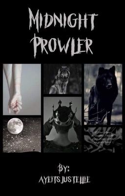 Midnight Prowler {boyxboy} 