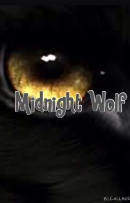 Midnight Wolf