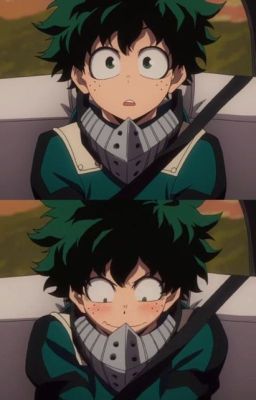 [Midoriya Izuku x Reader] Bạn cùng phòng kì lạ của tôi, Midoriya Izuku