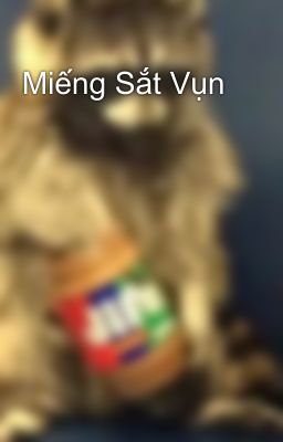 Miếng Sắt Vụn 