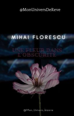 Mihai Florescu, une fleur dans le noir 