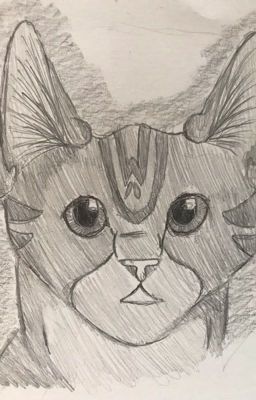 Mijn Warrior Cats tekeningen :3