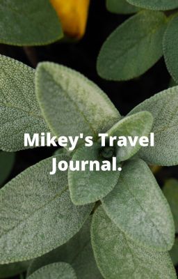 Mikey's Travel Journal!