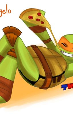 Mikey x reader TMNT