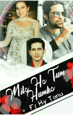 Mile Ho Tum Humko (A Rajveer & Naina FF)