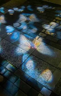 [milkcarrot | push and pull]