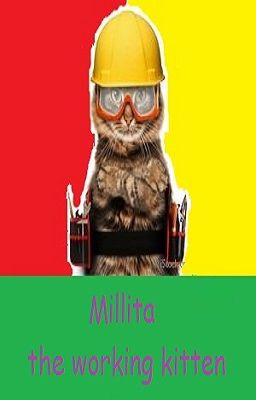 Millita, the working kitten (completed 1/1)