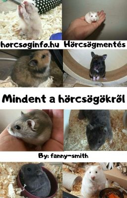 Mindent a hörcsögökről