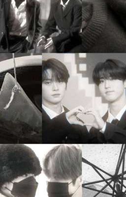 minsung ; my transfic compilation